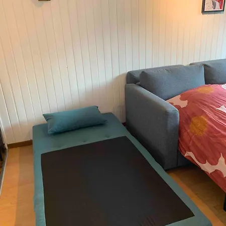 - With Beautiful View And Parking * Ovronnaz